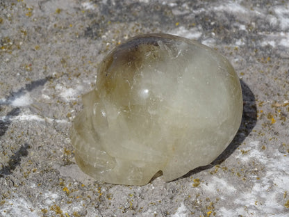 Crâne en Quartz Hématoïde Doré