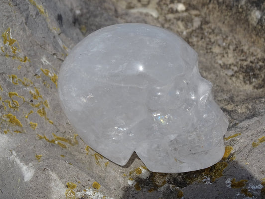 Crâne en Quartz Cristal de Roche - Cristaux - Colibri Minéraux et Bien-être