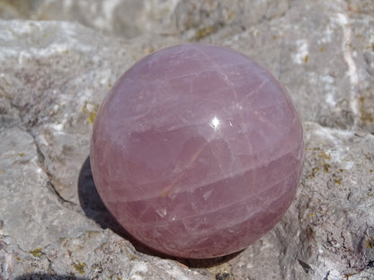 Quartz Rose Etoilé Sphère - Cristaux - Colibri Minéraux et Bien-être