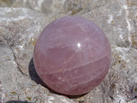 Quartz Rose Etoilé Sphère - Cristaux - Colibri Minéraux et Bien-être