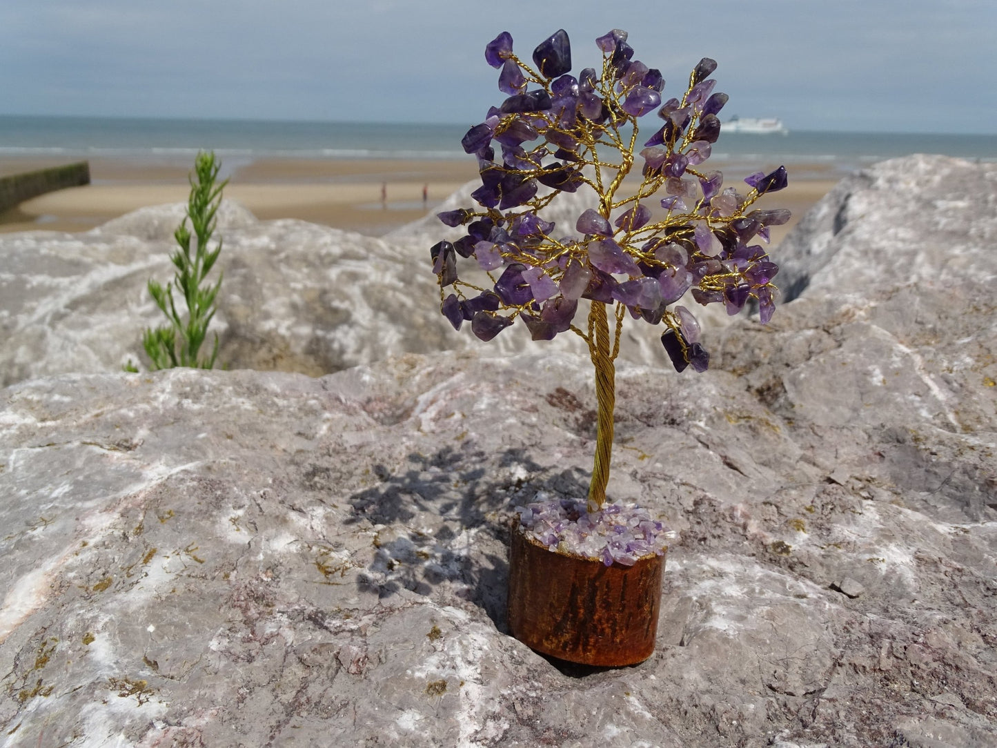 Améthyste Arbre de Vie - Cristaux - Colibri Minéraux et Bien-être