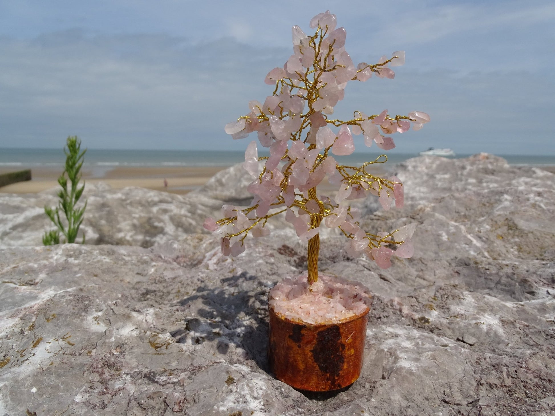 Quartz Rose Arbre de Vie - Cristaux - Colibri Minéraux et Bien-être