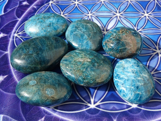 Apatite Bleue Galet - Pierres - Colibri Minéraux et Bien-être