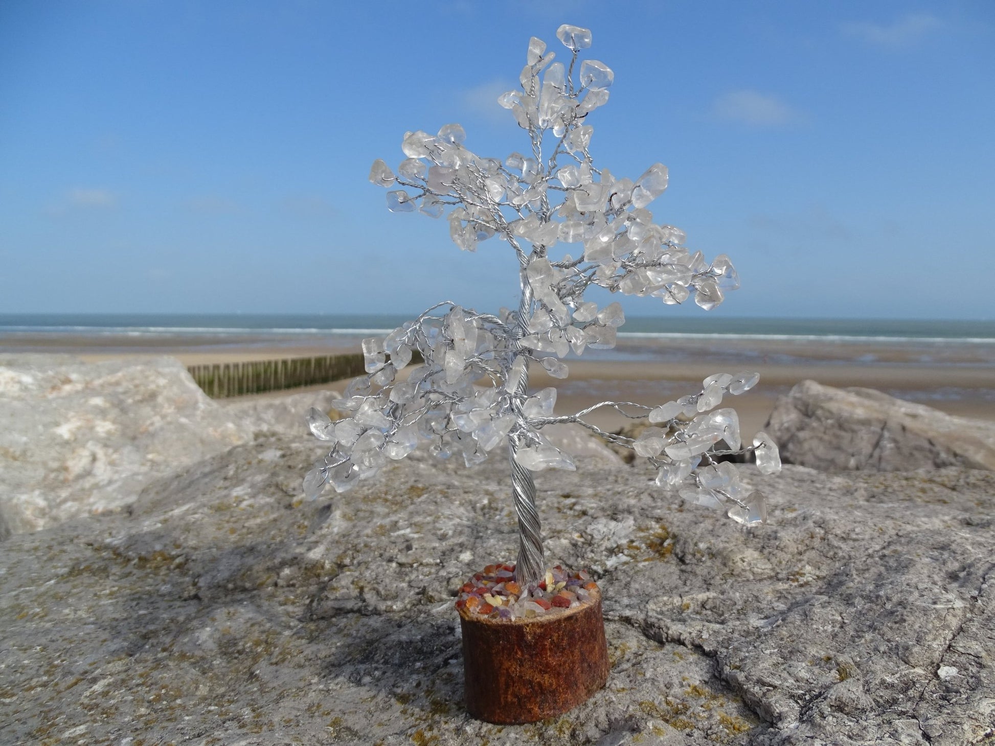Quartz Cristal de Roche Arbre de Vie - Cristaux - Colibri Minéraux et Bien-être