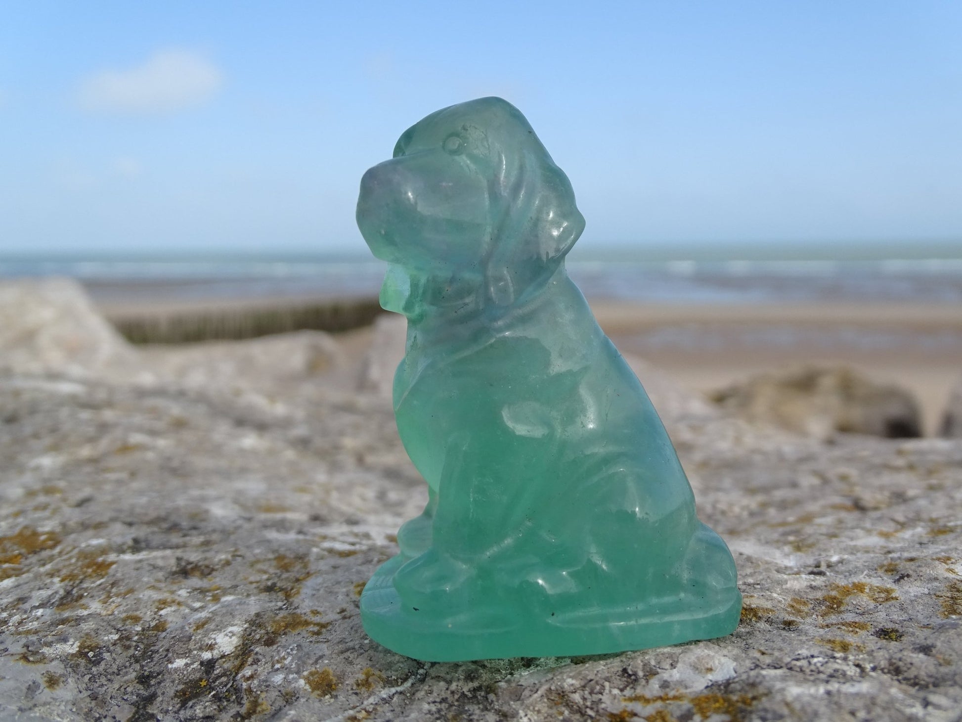 Fluorite Chien type Saint Hubert - Pierres - Colibri Minéraux et Bien-être