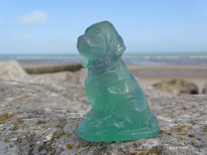 Fluorite Chien type Saint Hubert - Pierres - Colibri Minéraux et Bien-être