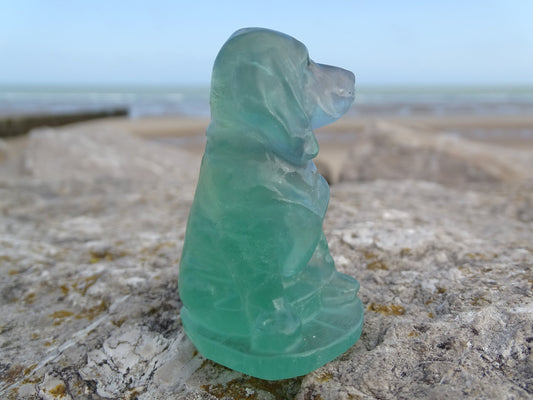 Fluorite Chien type Saint Hubert - Pierres - Colibri Minéraux et Bien-être