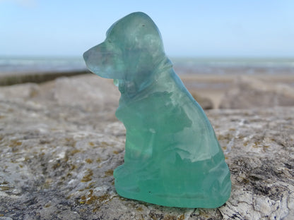 Fluorite Chien type Saint Hubert - Pierres - Colibri Minéraux et Bien-être