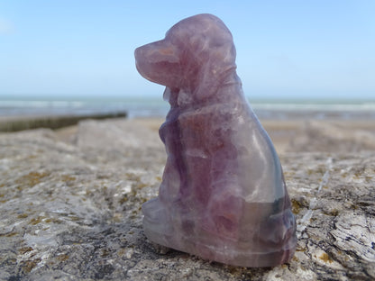 Fluorite Chien type Saint Hubert - Pierres - Colibri Minéraux et Bien-être