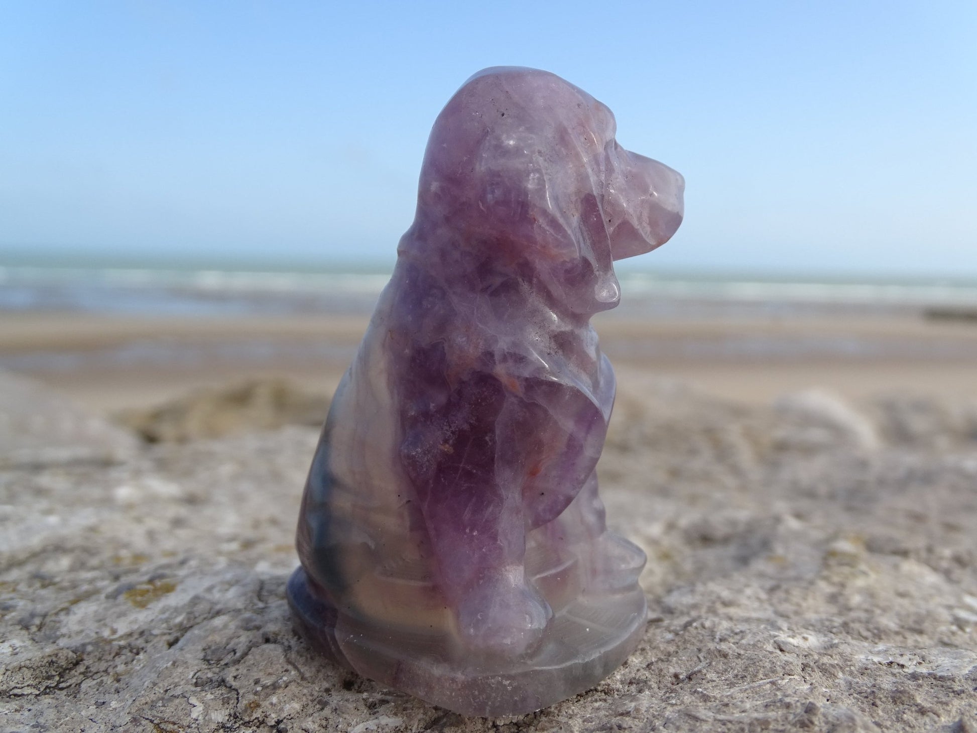 Fluorite Chien type Saint Hubert - Pierres - Colibri Minéraux et Bien-être