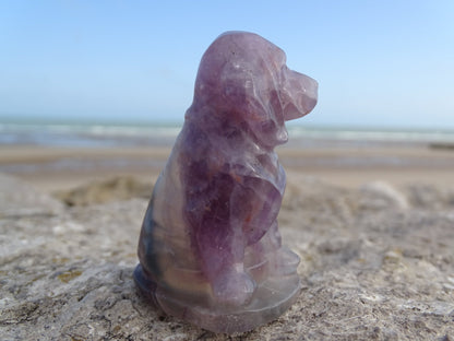 Fluorite Chien type Saint Hubert - Pierres - Colibri Minéraux et Bien-être