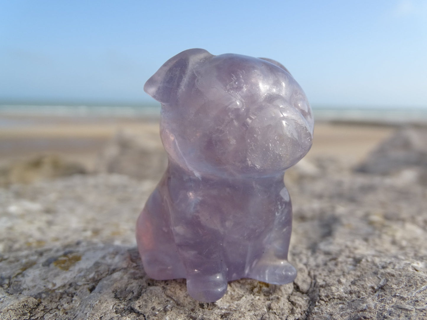 Fluorite Chien type Bouledogue Anglais - Pierres - Colibri Minéraux et Bien-être