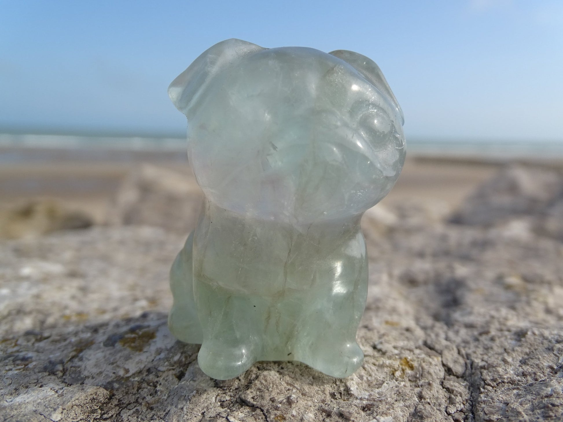 Fluorite Chien type Bouledogue Anglais - Pierres - Colibri Minéraux et Bien-être