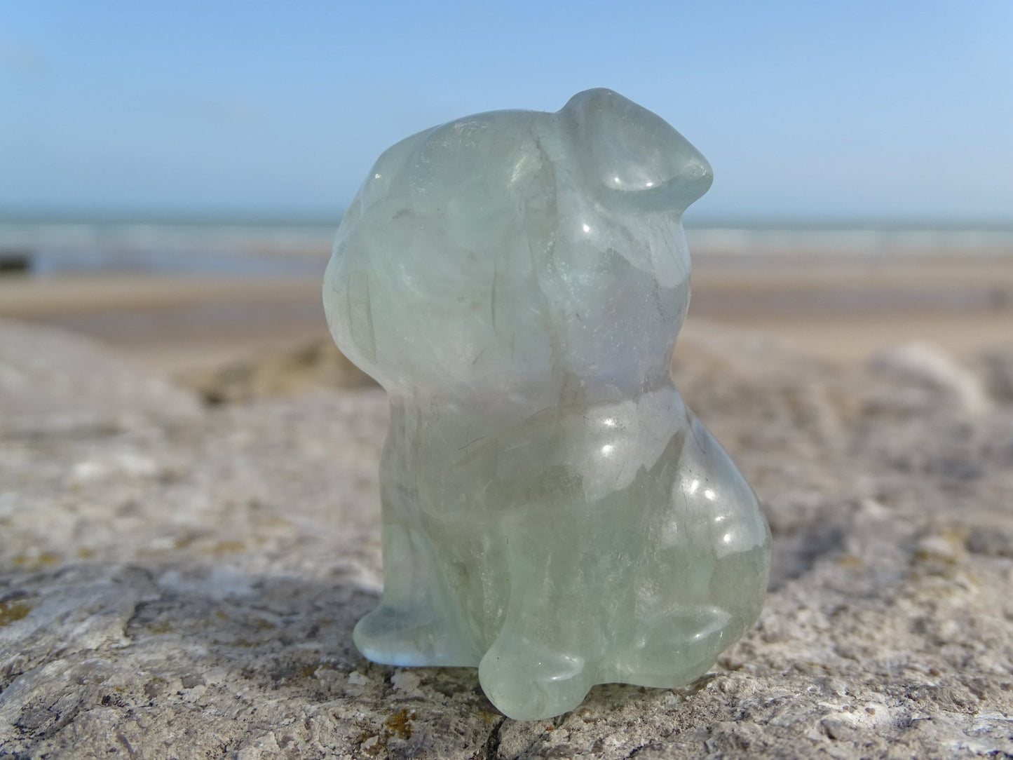 Fluorite Chien type Bouledogue Anglais - Pierres - Colibri Minéraux et Bien-être