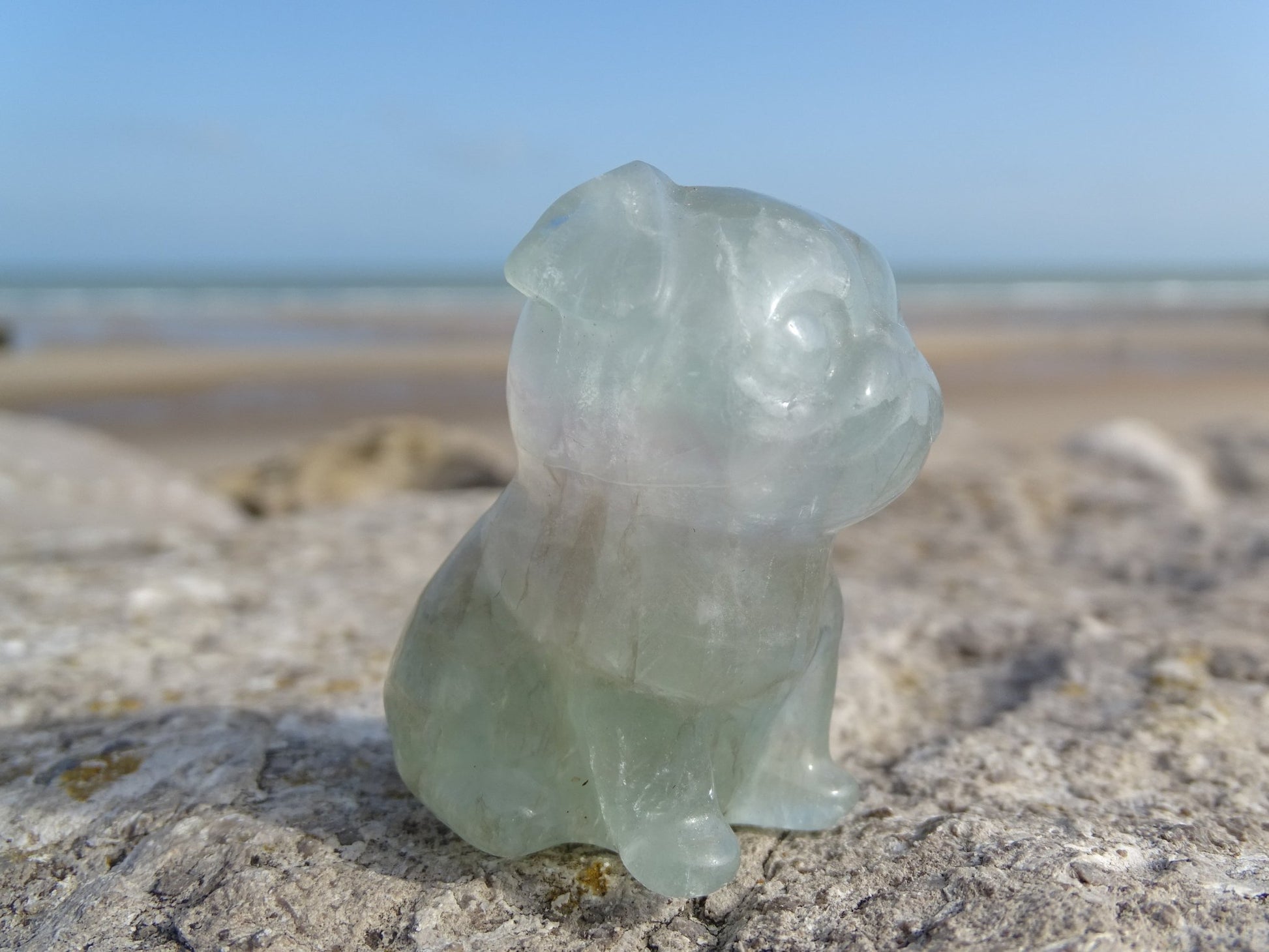 Fluorite Chien type Bouledogue Anglais - Pierres - Colibri Minéraux et Bien-être
