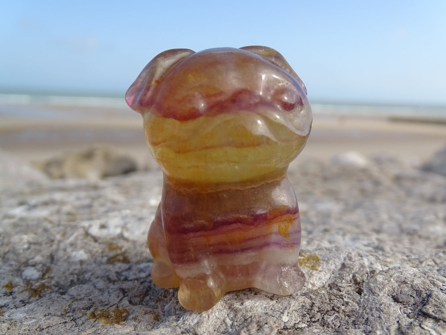Fluorite Chien type Bouledogue Anglais - Pierres - Colibri Minéraux et Bien-être