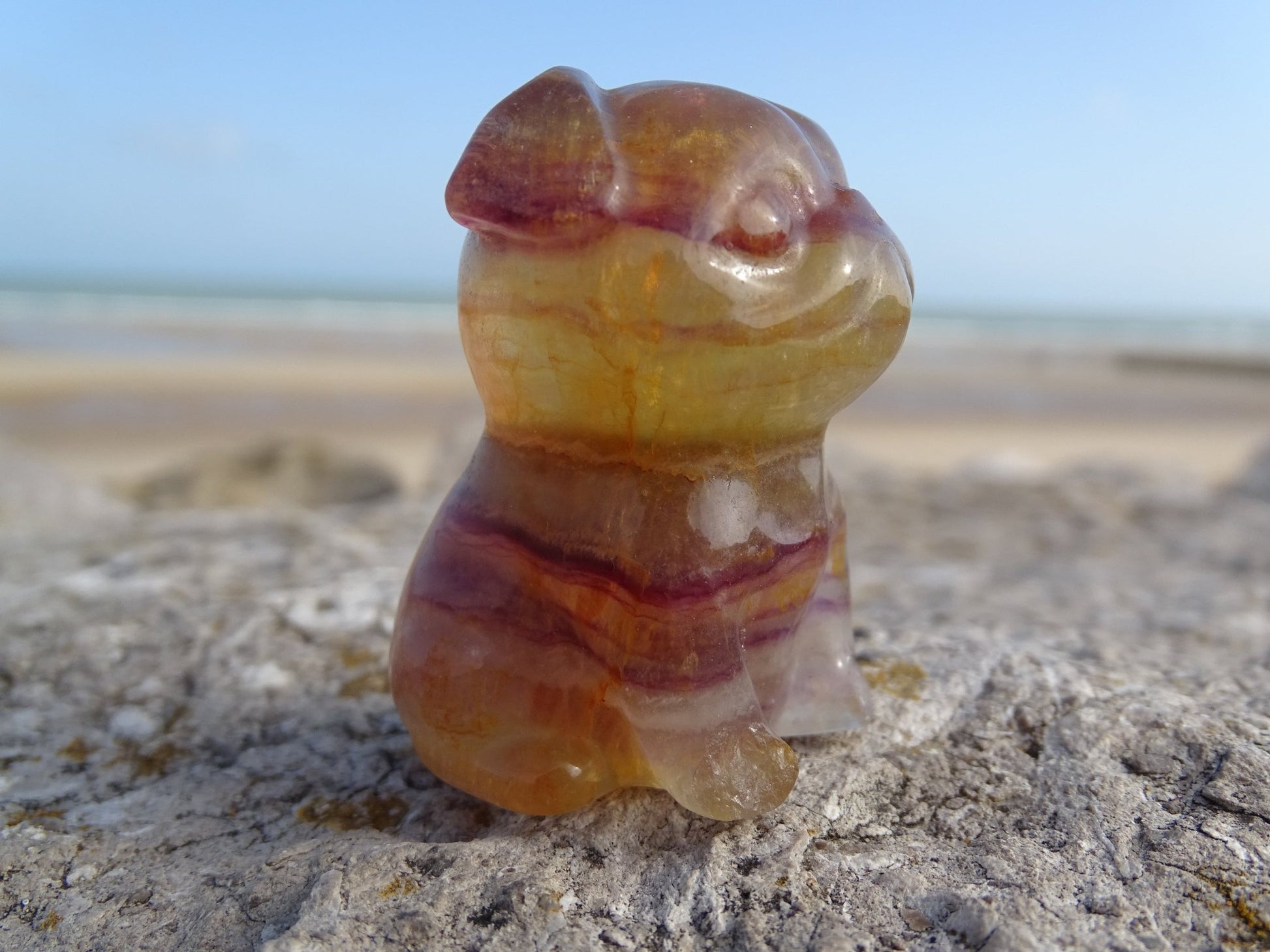 Fluorite Chien type Bouledogue Anglais - Pierres - Colibri Minéraux et Bien-être