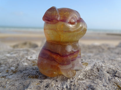 Fluorite Chien type Bouledogue Anglais - Pierres - Colibri Minéraux et Bien-être