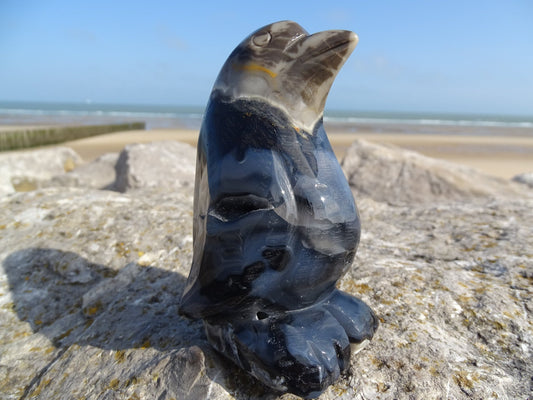 Agate Pingouin - Pierres - Colibri Minéraux et Bien-être