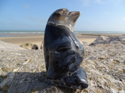 Agate Pingouin - Pierres - Colibri Minéraux et Bien-être