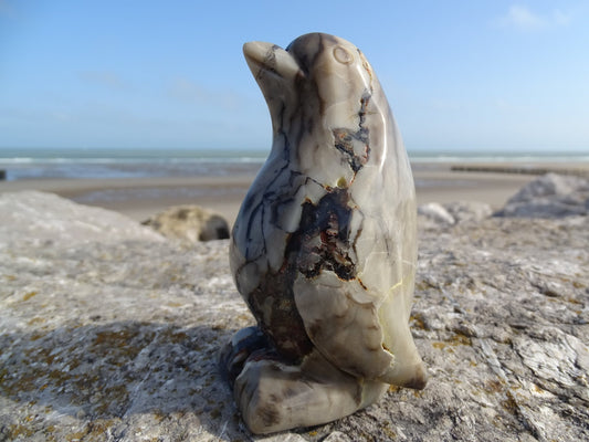 Agate Pingouin - Pierres - Colibri Minéraux et Bien-être