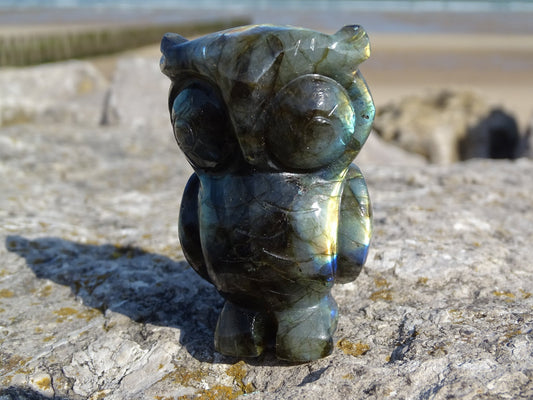 Labradorite Hibou - Pierres - Colibri Minéraux et Bien-être