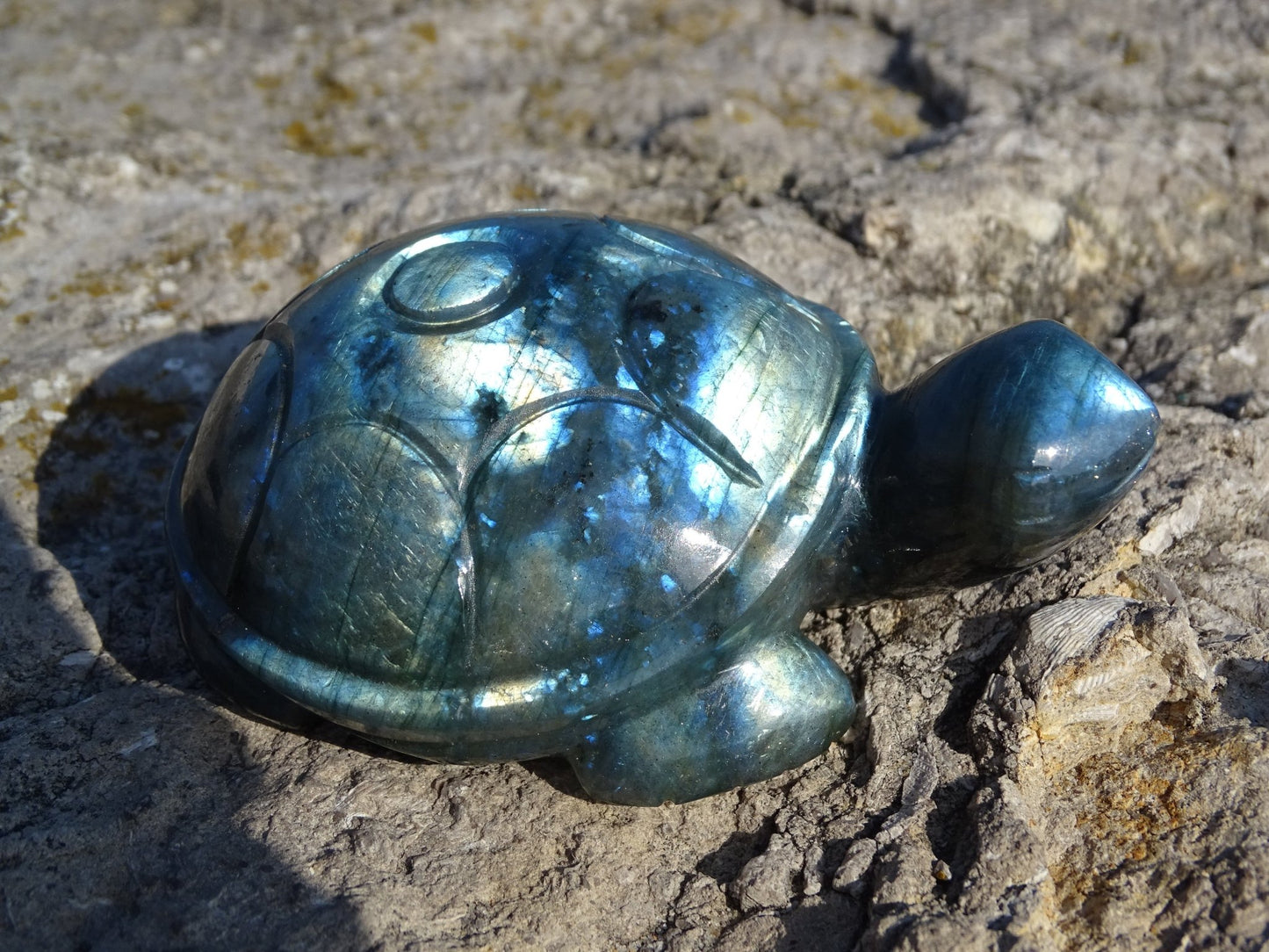 Labradorite Tortue - Pierres - Colibri Minéraux et Bien-être