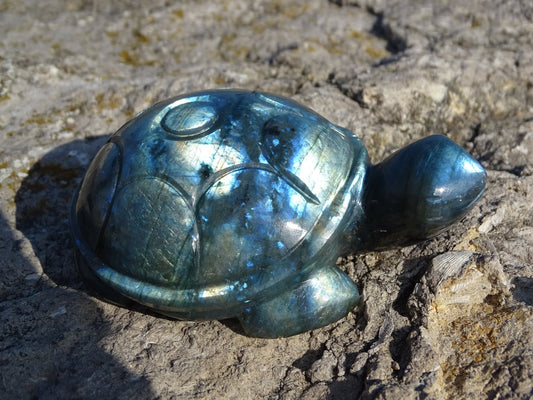 Labradorite Tortue - Pierres - Colibri Minéraux et Bien-être
