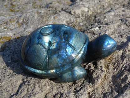 Labradorite Tortue - Pierres - Colibri Minéraux et Bien-être