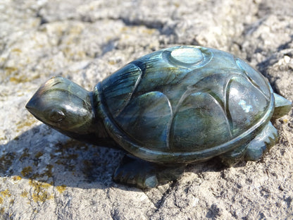 Labradorite Tortue - Pierres - Colibri Minéraux et Bien-être