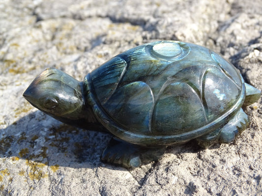 Labradorite Tortue - Pierres - Colibri Minéraux et Bien-être