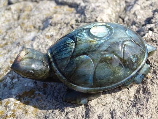 Labradorite Tortue - Pierres - Colibri Minéraux et Bien-être