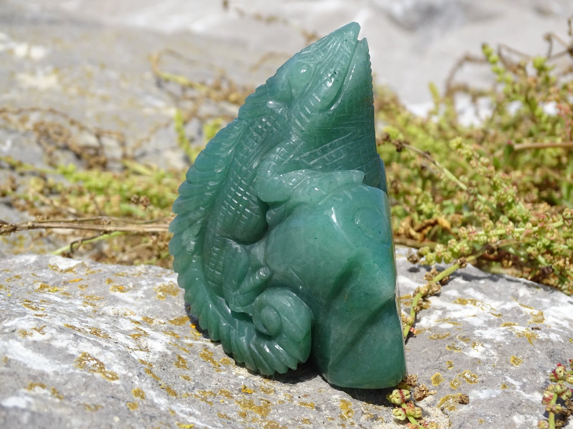 Aventurine Verte Iguane - Pierres - Colibri Minéraux et Bien-être