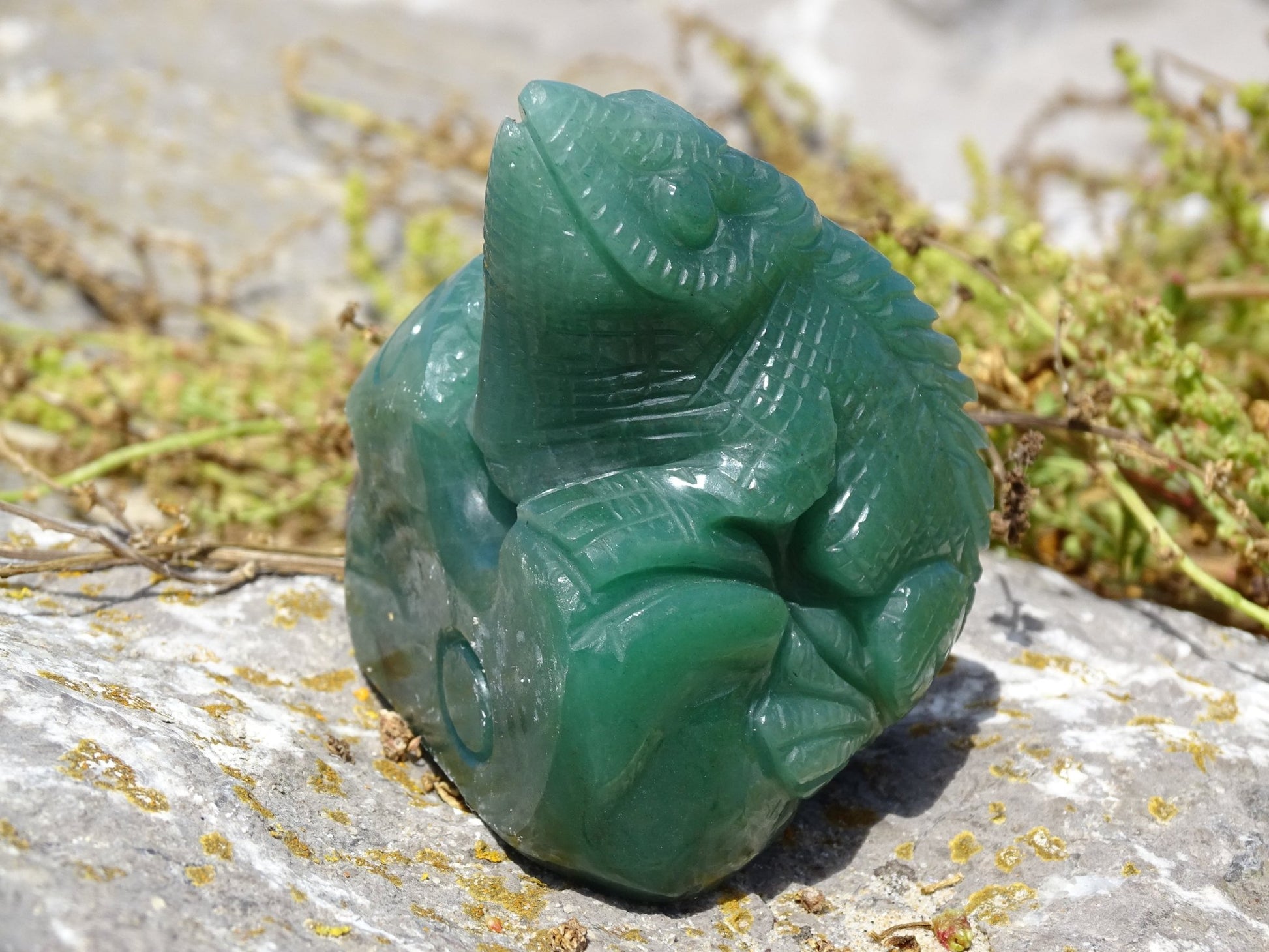 Aventurine Verte Iguane - Pierres - Colibri Minéraux et Bien-être
