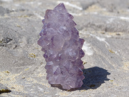 Cactus Amethyst