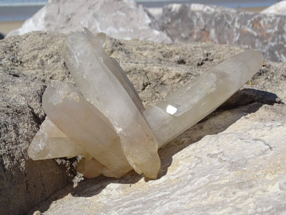 Quartz Cristal de Roche Amas Brut - Cristaux - Colibri Minéraux et Bien-être