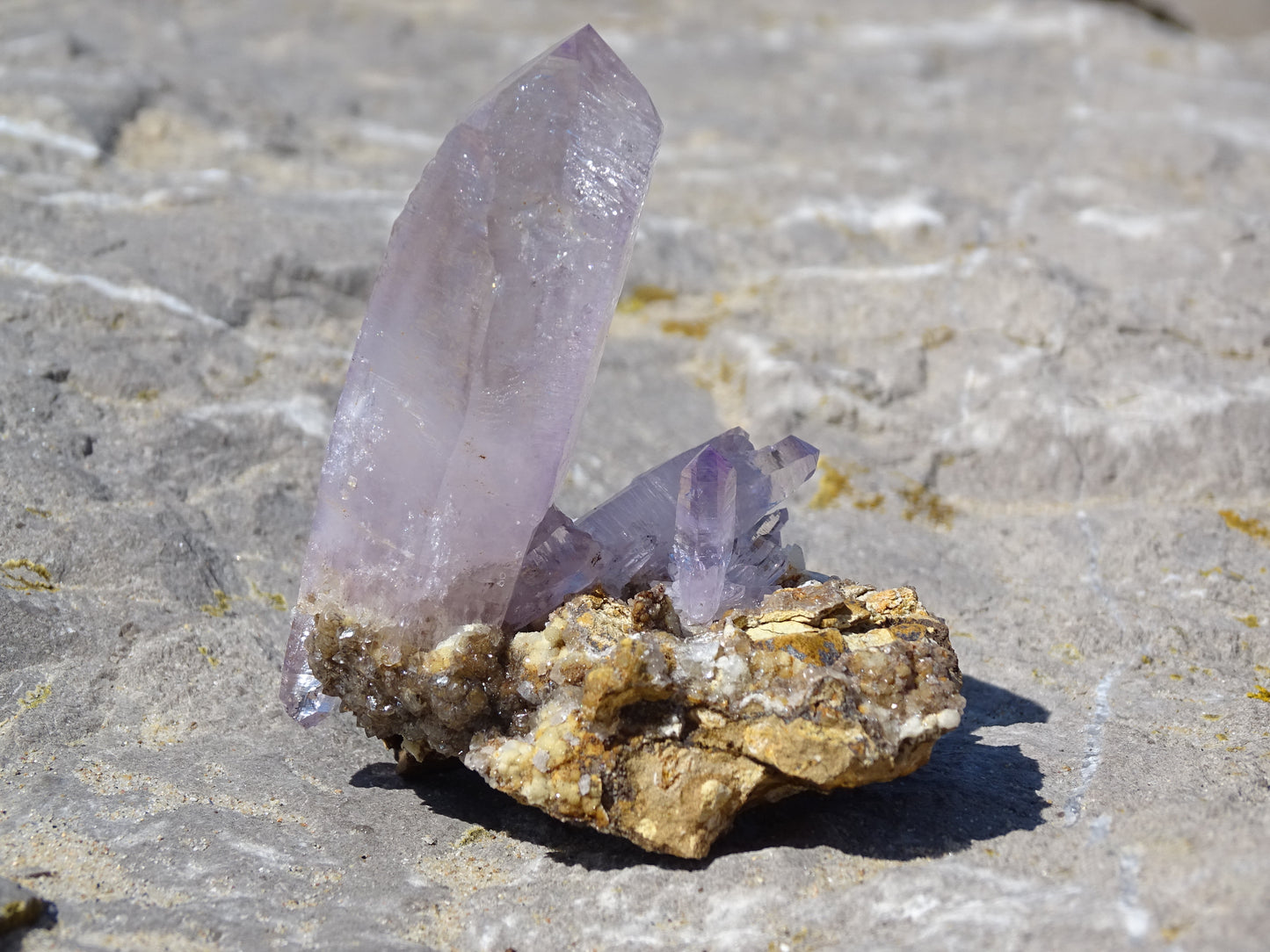 Cactus Amethyst