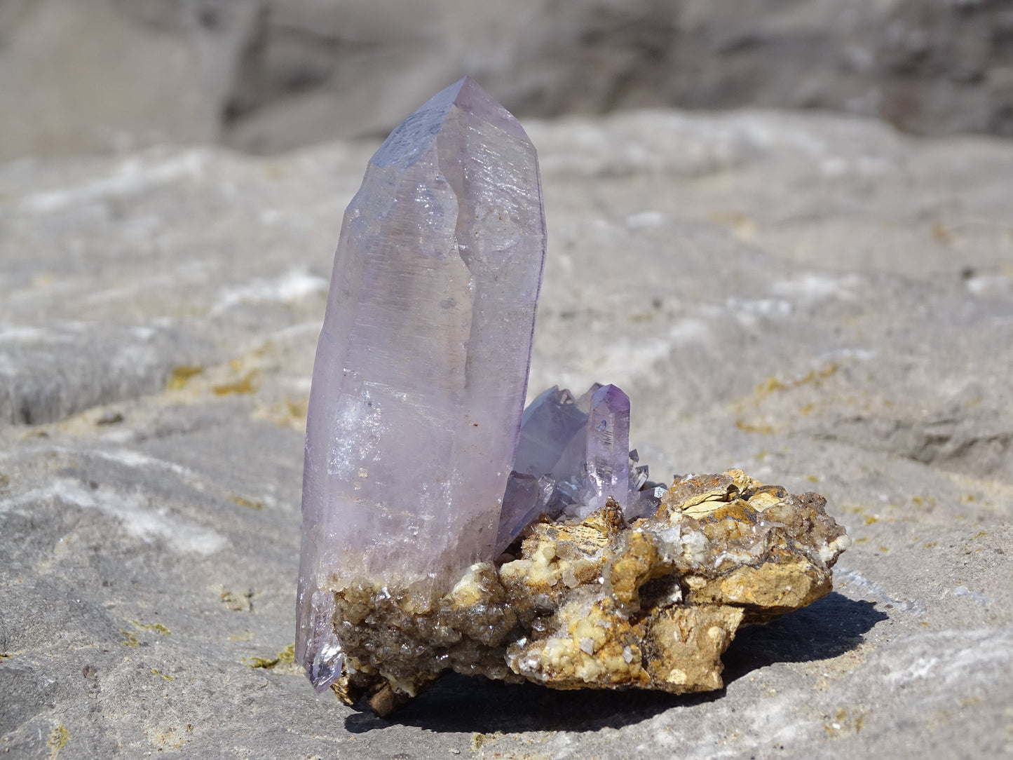 Cactus Amethyst
