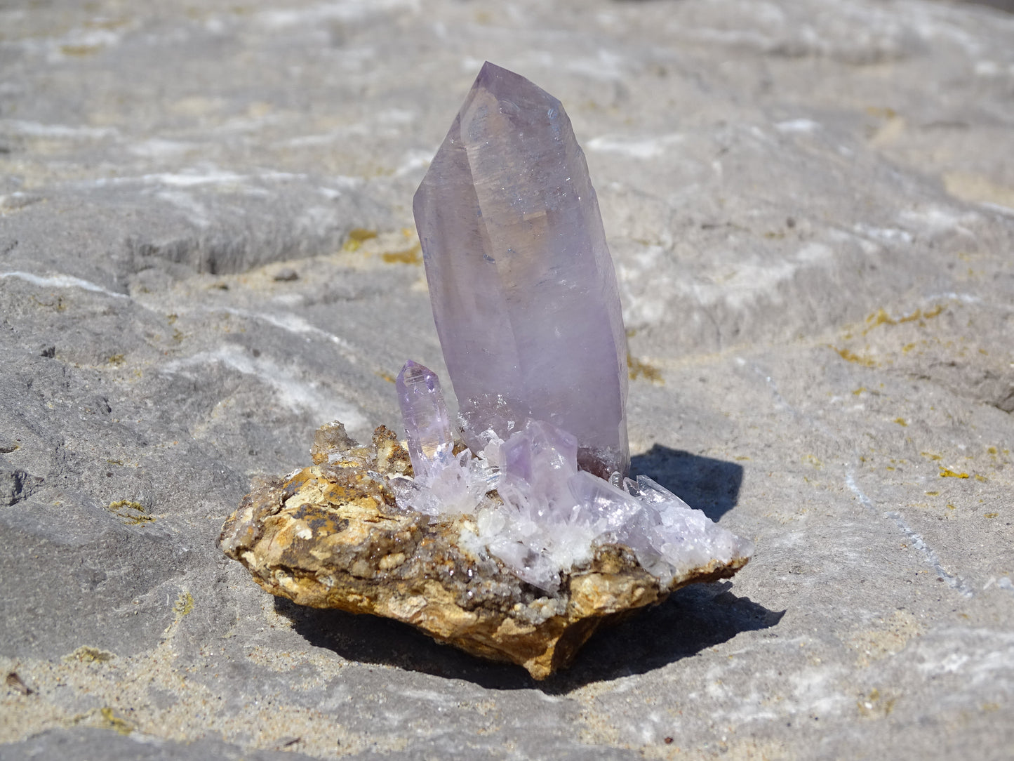 Cactus Amethyst
