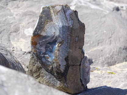 Cut base Améthyste