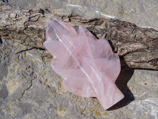 Quartz Rose Feuille - Cristaux - Colibri Minéraux et Bien-être