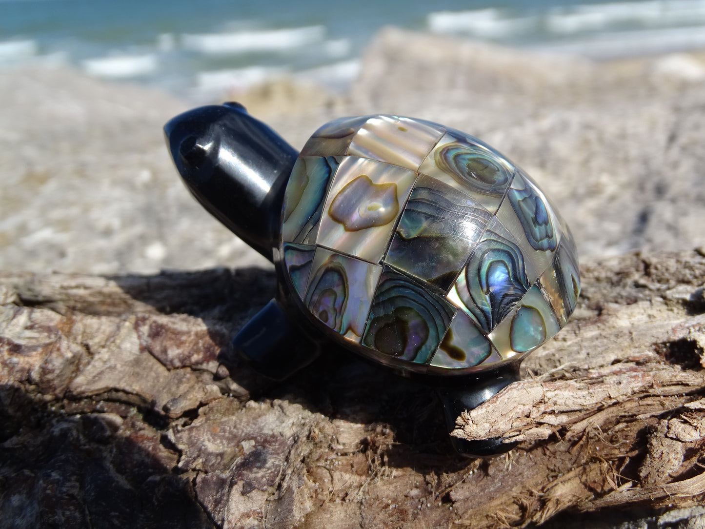 Animaux Obsidienne Noire Tortue Abalone
