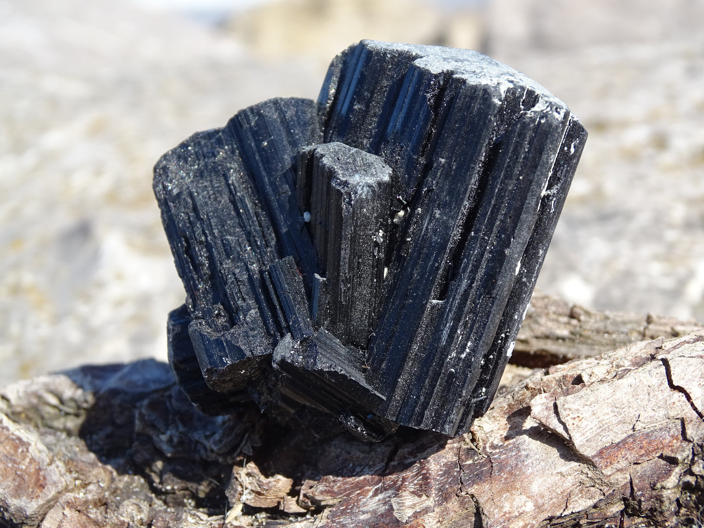 Tourmaline Noire