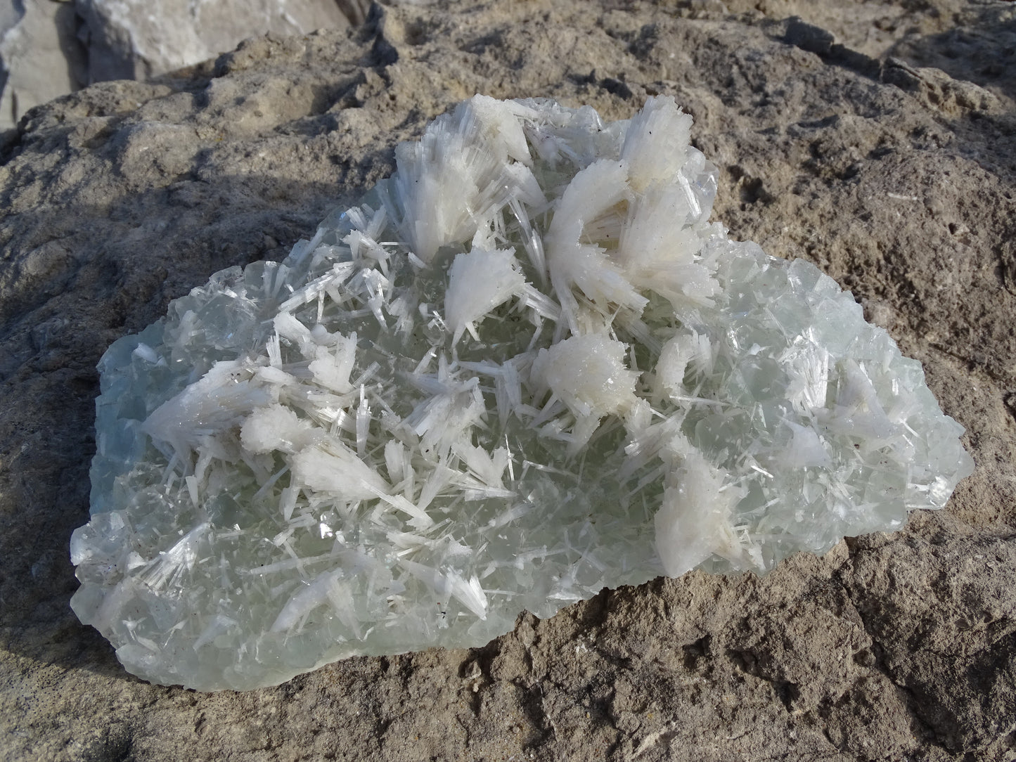 Apophyllite Verte et Scolécite