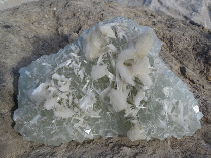 Apophyllite Verte et Scolécite