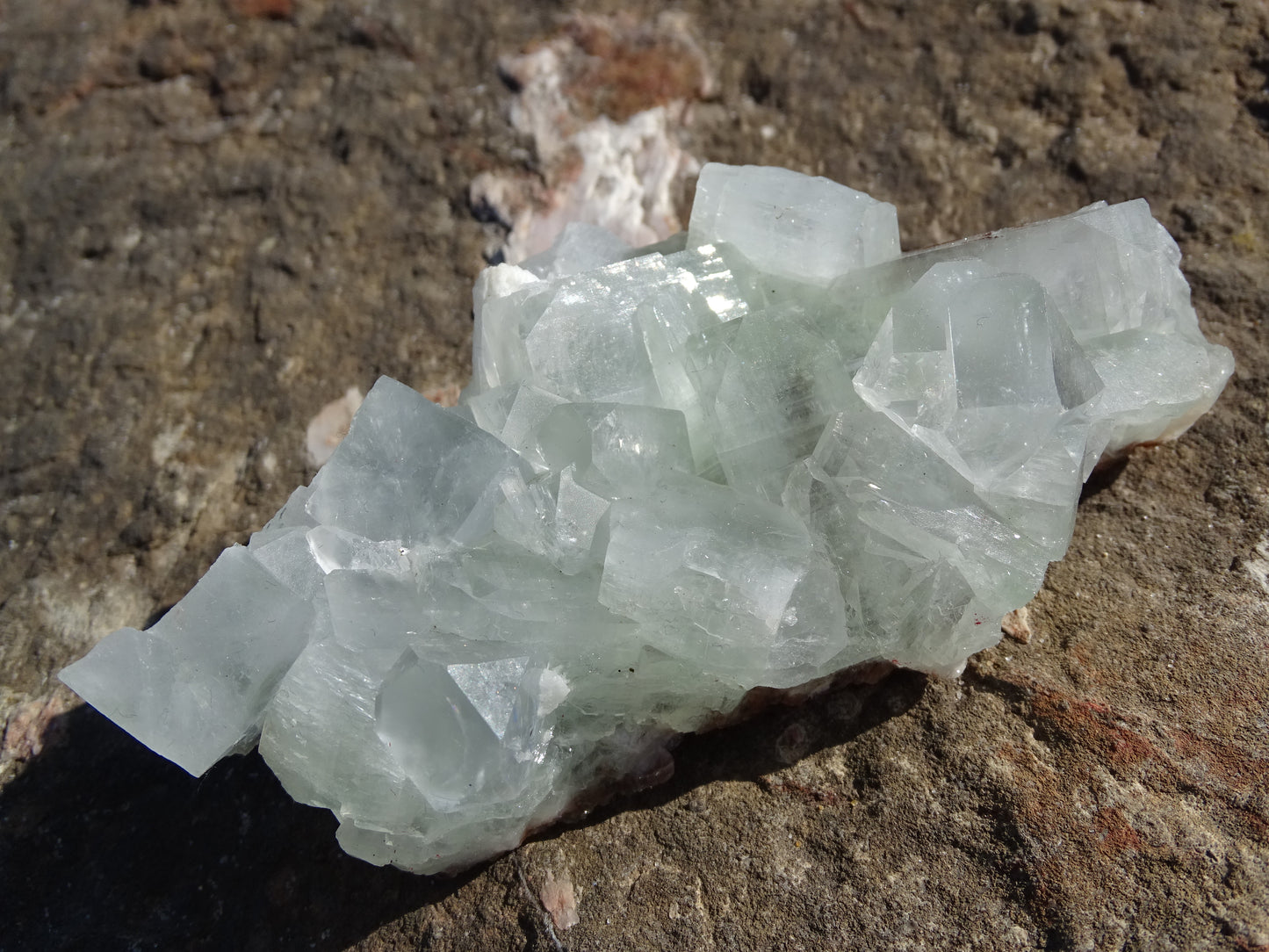 Apophyllite Verte