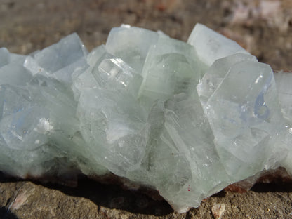 Apophyllite Verte