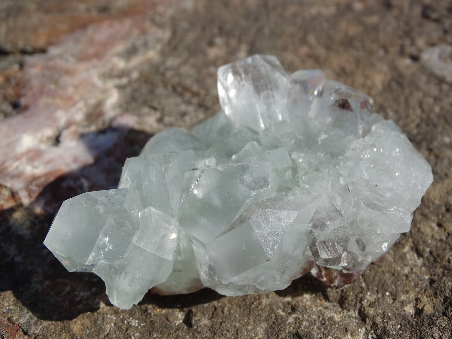 Apophyllite Verte