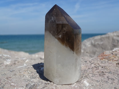 Faceted Rutilated Smoky Quartz