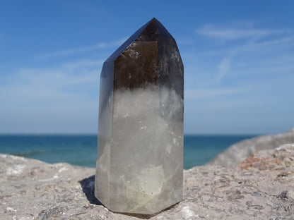 Faceted Rutilated Smoky Quartz